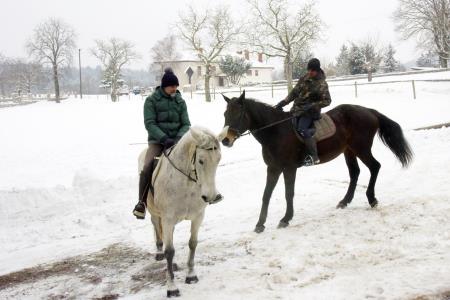 Oddaja Dobro jutro v Občini Hrpelje-Kozina 69